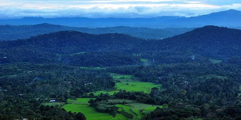 Coorg Escorts Service