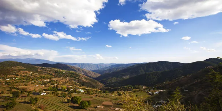 Kufri Escprts Service